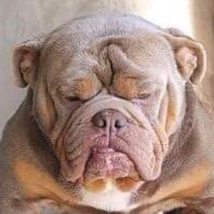 Meet your Posher, Marc